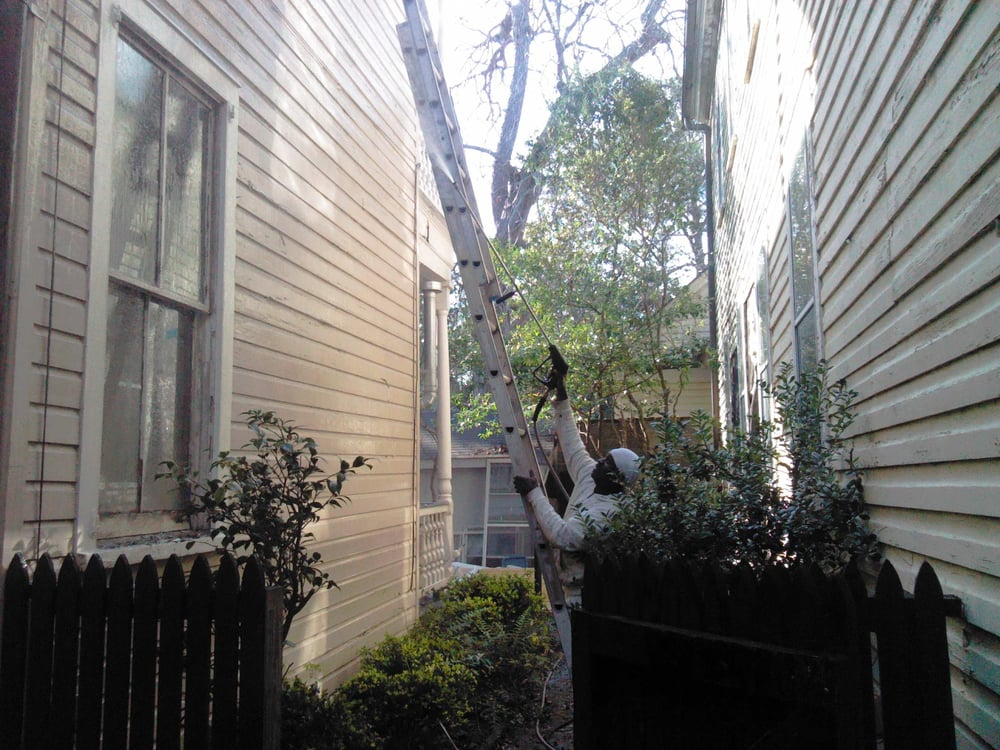 Person on ladder trimming tree branches between two wooden houses in narrow alley
